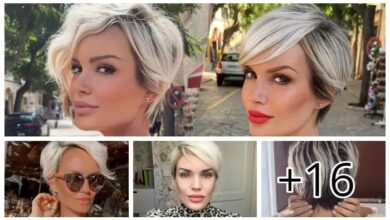 NEW Short Hair Creations - Hairstyle for Woman with Shorthair