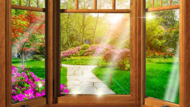 Home Improvement Tips for Spring