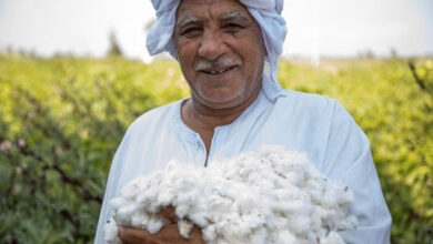 How Growing Organic Cotton helps mitigate Climate Change